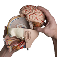 Image is not available